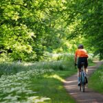 jacobsburg state park trails